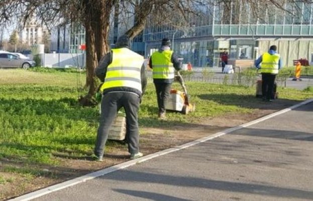 Lege promulgată: Primăriile pot angaja zilieri pentru îngrijirea parcurilor şi grădinilor