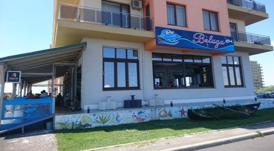 Afaceriștii de la Emacrist Trans nu își pot extinde restaurantul din Mamaia