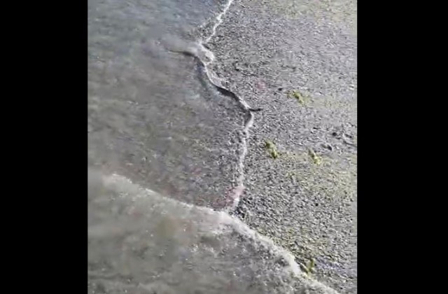 Alertă! Șerpi pe o plajă din Saturn! Video