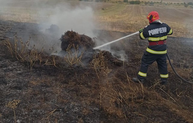 Incendiu de vegetație în spatele reprezentanței RAJA