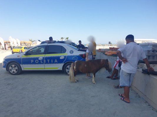 Ponei chinuiți pe plajă, în caniculă, salvați de polițiști