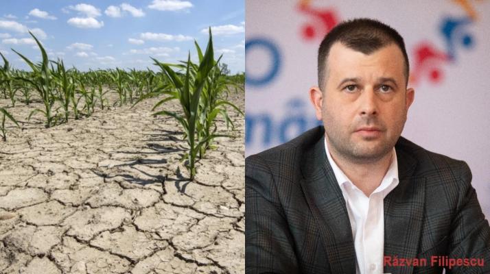 Îngenunchiați de secetă, fermierii vor primi 12 euro pe hectar, în 2023
