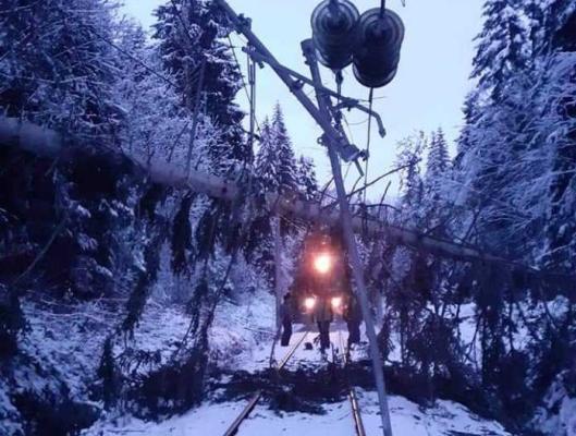 Trafic feroviar blocat între Petroşani şi Crivadia din cauza copacilor căzuţi pe linia electrică
