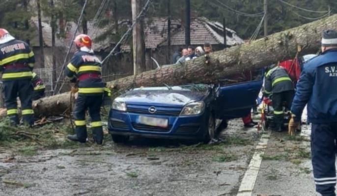 Un copac a căzut peste maşina în care erau două persoane