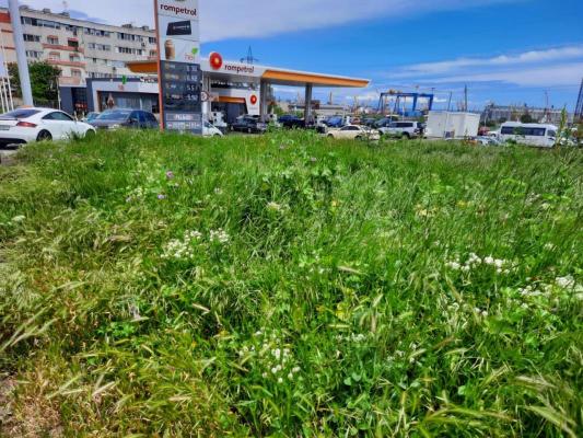 Primăria Constanța a pus la bătaie 25 de mil. de euro pentru întreținerea spațiilor verzi