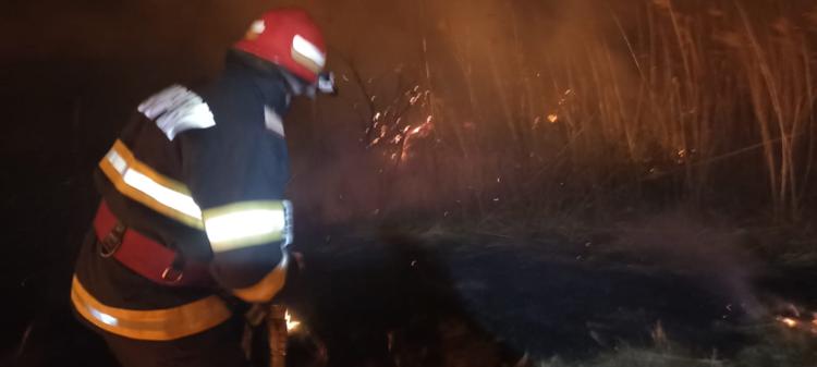 Incendiu de vegetație uscată, între localitățile Sarinasuf și Plopu, din Tulcea