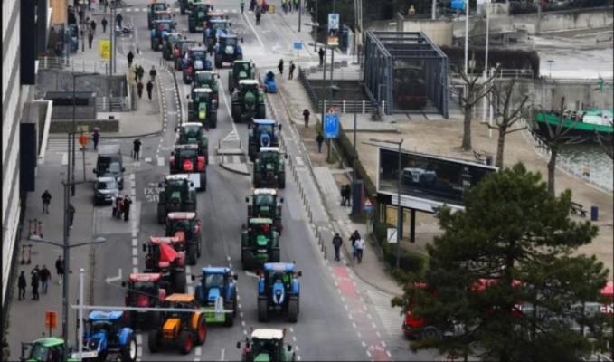 Fermierii belgieni protestează față de limitarea emisiilor de azot