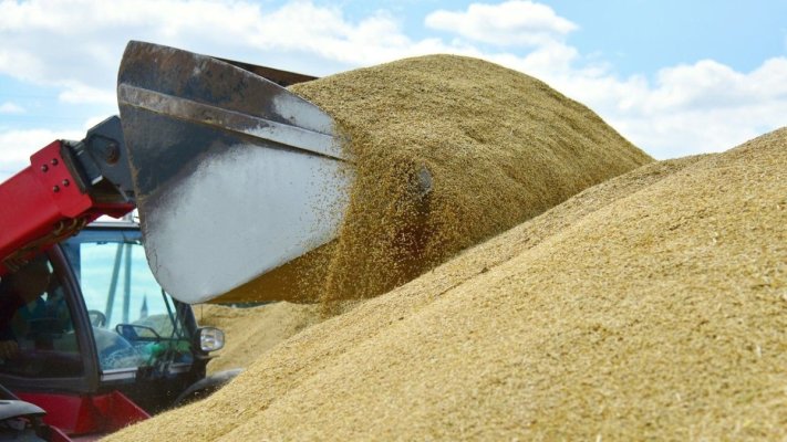UE îmbunătăţeşte previziunile privind recolta de cereale în Franţa şi România