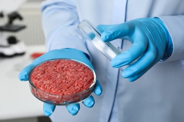 Proiect de lege: Carnea sintetică ar putea fi interzisă în România