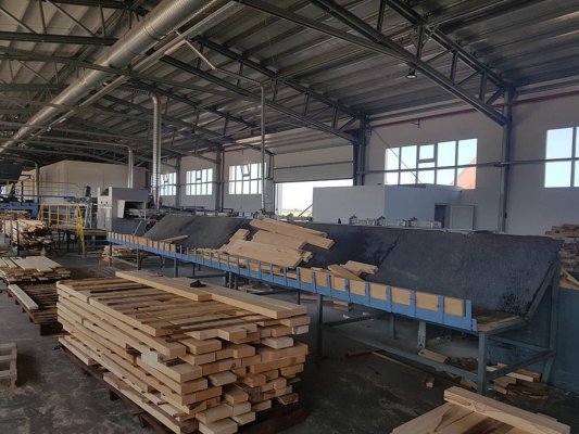 Fabrica de prelucrare a lemnului Kastamonu din Reghin a finalizat primul trimestru din 2023 cu afaceri de 170,7 mil. lei
