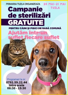 Primăria Tuzla organizează o nouă campanie de sterilizări gratuite