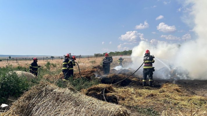 Mai multe incendii de vegetație uscată în județul Constanța
