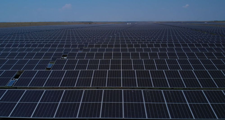 Enel Green Power România a pus în funcțiune cel mai mare parc fotovoltaic al său 