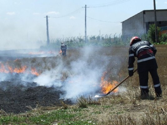 Primăria Poarta Albă: „Arderea miriştilor reprezintă un adevărat pericol pentru noi toți!” 