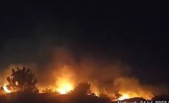 Incendiu foarte puternic lângă stadionul Ghencea: Piedone a descins la fața locului și explică de la ce a pornit