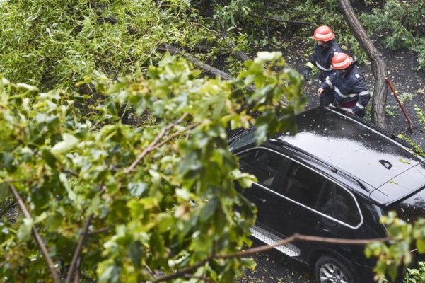 Beat mort, un șofer a intrat cu mașina într-un copac
