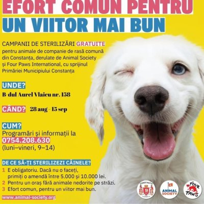 Continuă campanie de sterilizare gratuită a animalelor de rasă comună