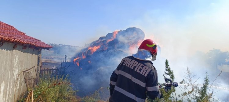 Incendiu violent în Ceamurlia de Sus. Pericol de propagare la o casă și un saivan. Video