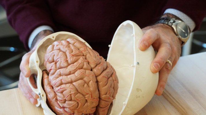 Folosim cu adevărat doar 10% din creier? Ce spun oamenii de știință