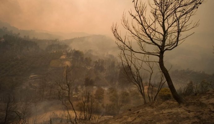 18 cadavre arse au fost găsite într-o pădure din Grecia devastată de incendii