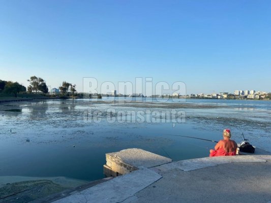 Fauna din Lacul Tăbăcărie este în pericol din cauza caniculei! 