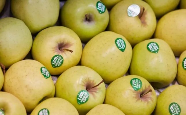 România produce 11% din merele UE, însă cantitățile stagnează din 2022