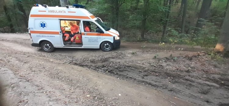 Un tânăr de 17 ani, găsit mort, într-o pădure din Cluj