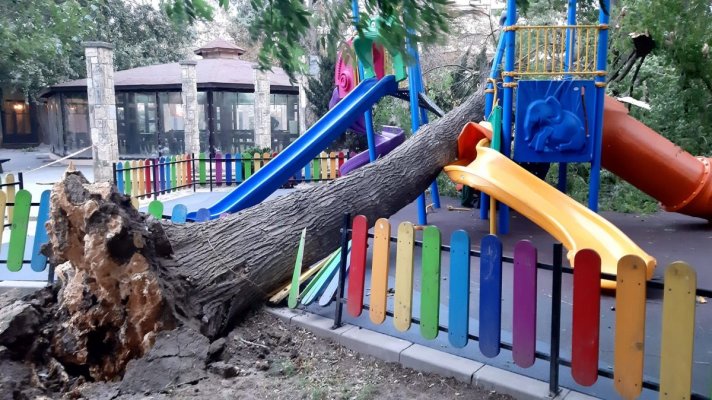Loc de joacă din Constanța, distrus de un copac doborât de furtună