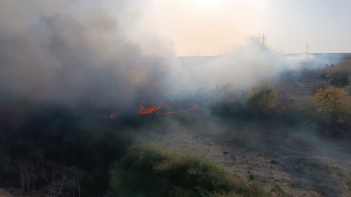 Zeci de animale salvate dintr-un incendiu puternic, la Medgidia. Video