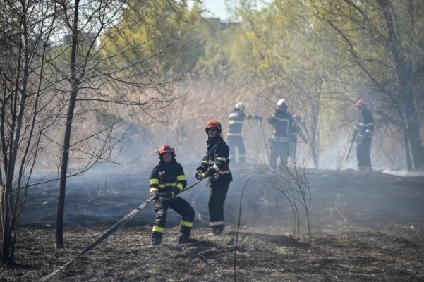 Peste 700 de hectare de mirişte distruse de flăcări în Giurgiu