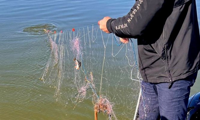 Sute de metri de plase cu 55 de kilograme de pește scoase din lacul Sinoe de polițiștii de frontieră 