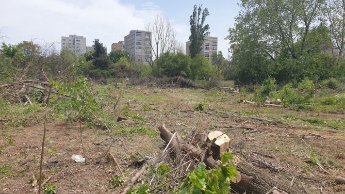 Amenda de 35 milioane de euro dată proprietarului zonei defrișate din Parcul IOR a fost contestată