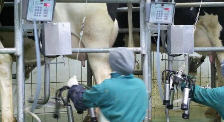  Ministrul Agriculturii: „În România intră produse din lapte care nu au văzut laptele!”