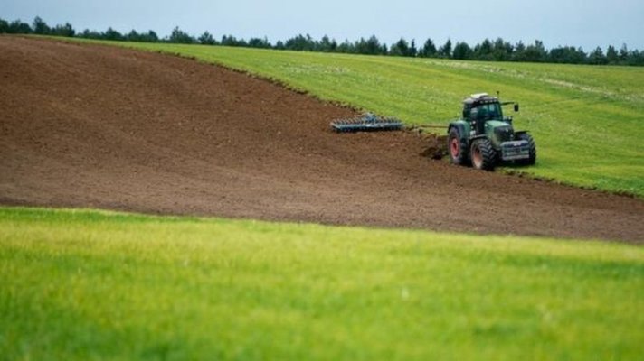 Eurostat: Diferenţe semnificative între preţurile şi chiriile pentru terenuri agricole, în UE