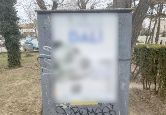 Afișajul stradal, din Constanța, verificat de polițiștii locali. A curs cu amenzi