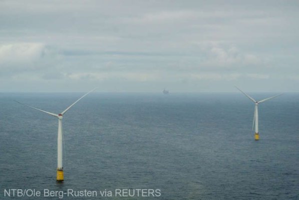 Germania va sacrifica natura pentru a accelera construcţia de parcuri eoliene offshore