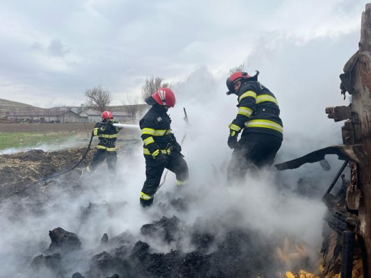 Incendiu la o locuință din localitatea Nicolae Bălcescu, județul Tulcea. Video