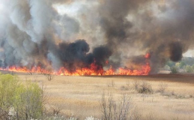 Alertă! Incendiu puternic în Delta Văcărești. Video