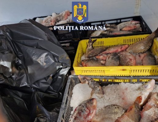 133 kg de peşte au fost confiscate, în Constanţa, pentru deţinere ilegală