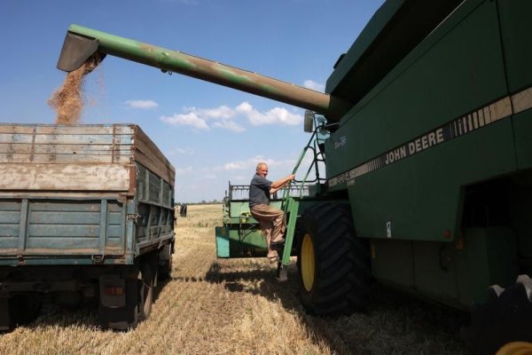 INS: Preţurile produselor agricole au scăzut cu 18,69% în februarie 2024, comparativ cu anul trecut