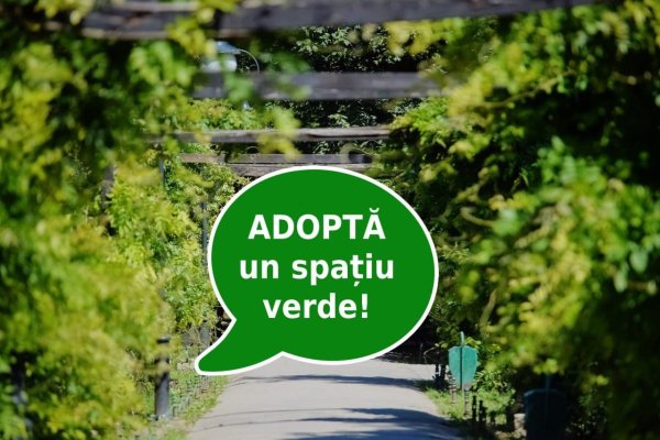 ISJ Constanța inițiază proiectul județean „Verde creativ - Adoptă un spațiu“