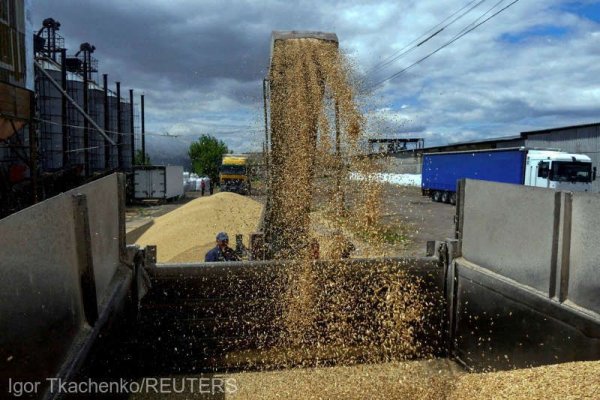 Kremlinul îşi extinde controlul asupra cerealelor ruseşti tocmai când preţul grâului explodează