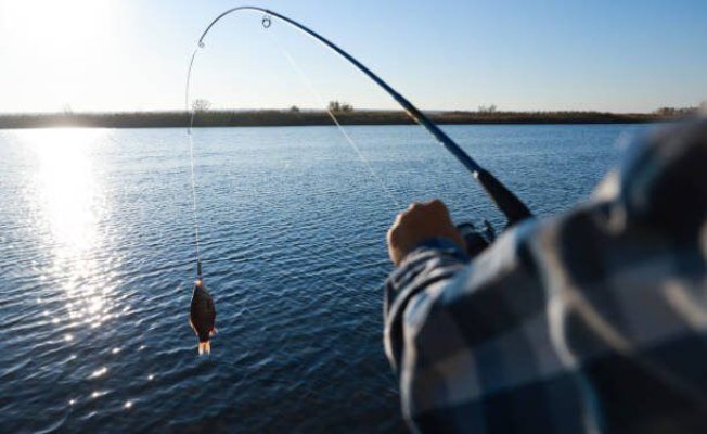 Noua lege a pescuitului dublează amenzile și prevede chiar și închisoare