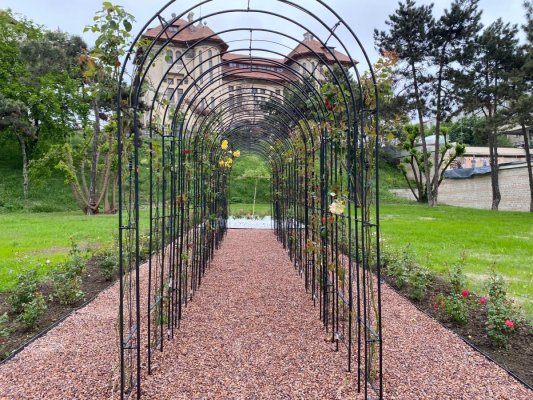 A fost finalizată reabilitarea parcului Carol I