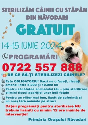 Campanie de sterilizări gratuite a câinilor cu stăpân, în Năvodari