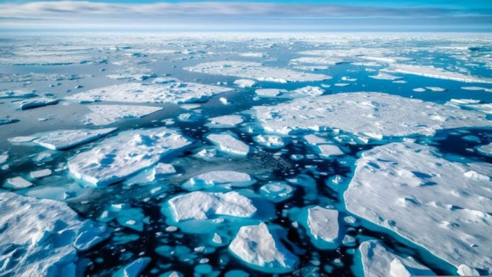 Virusurile gigantice ar putea fi soluția pentru încetinirea topirii gheții din Oceanul Arctic