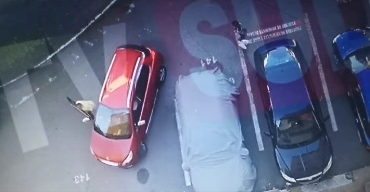 Secretara șefului Consiliului Județean Gorj, omorâtă de mașina din care cobora. Video