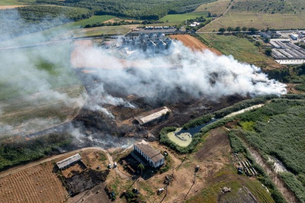 Alertă în județul Tulcea! Incendiu la un lan grâu, cu risc de extindere la mai multe rezervoare GPL