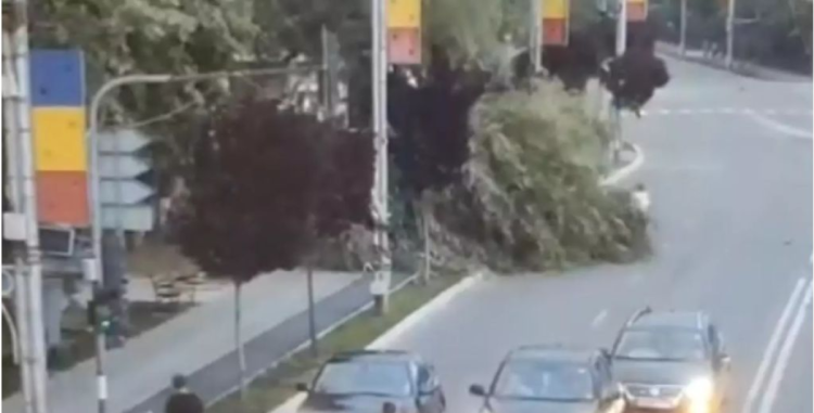 Un copac a fost doborât de vântul puternic și a căzut peste o femeie care mergea pe trotuar