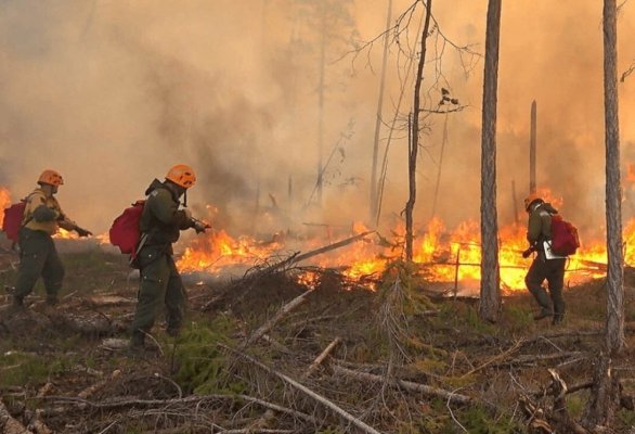 Oficialii guvernamentali canadieni avertizează asupra riscului crescut de incendii de vegetație